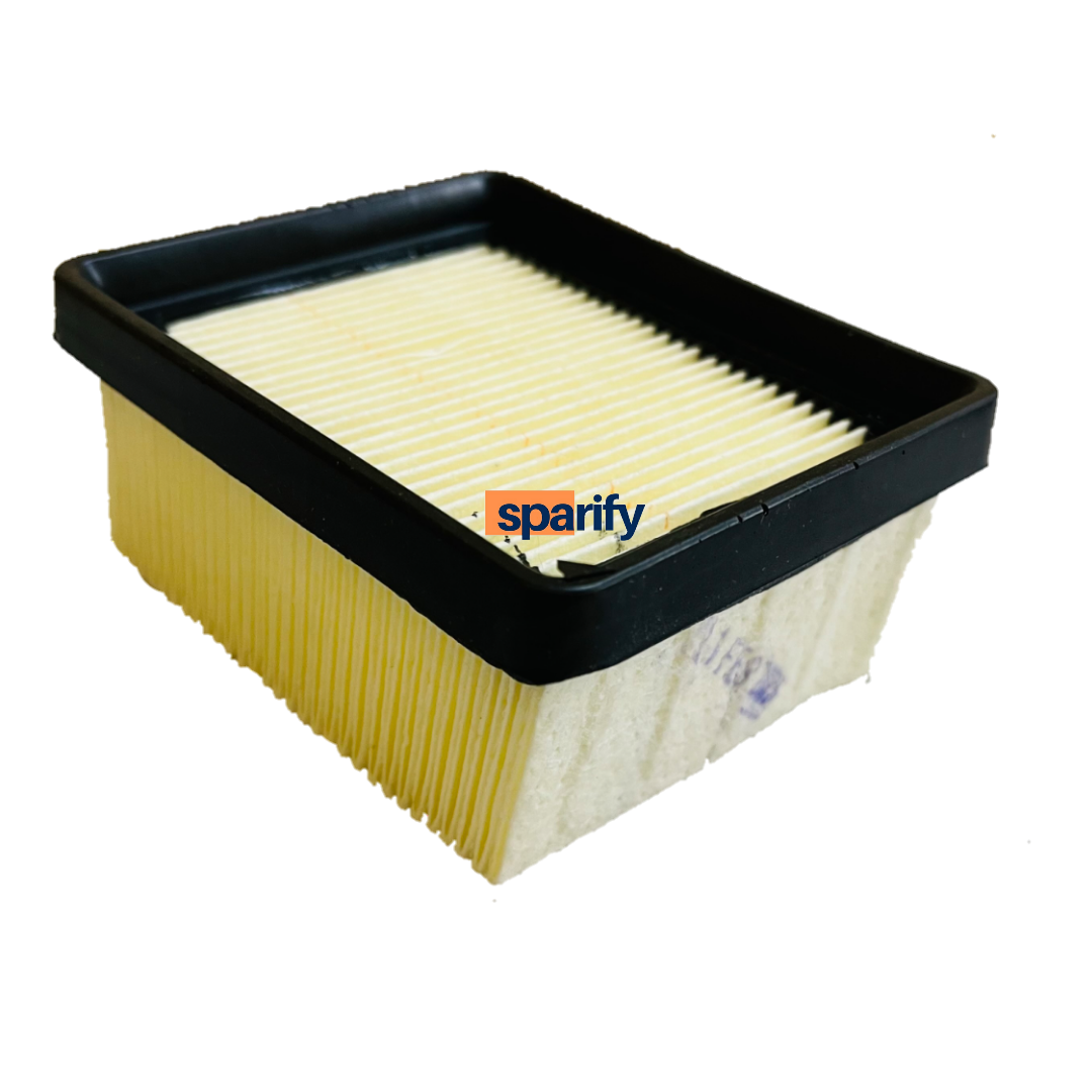 Apache RR 310/BMW 310 GS/R air filter (stock) | TVS | BMW