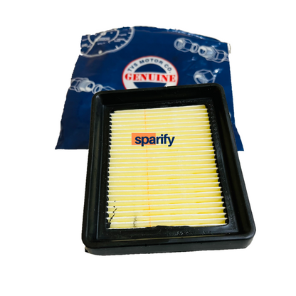 Apache RR 310/BMW 310 GS/R air filter (stock) | TVS | BMW