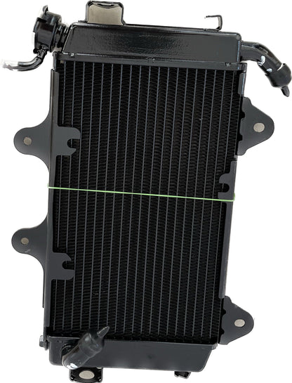 Duke 200 bs3/bs4 radiator assembly | KTM