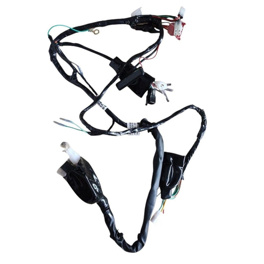 Wiring Harness for Bajaj Avenger 150 Street BS4 | Electric Start 2017 Model